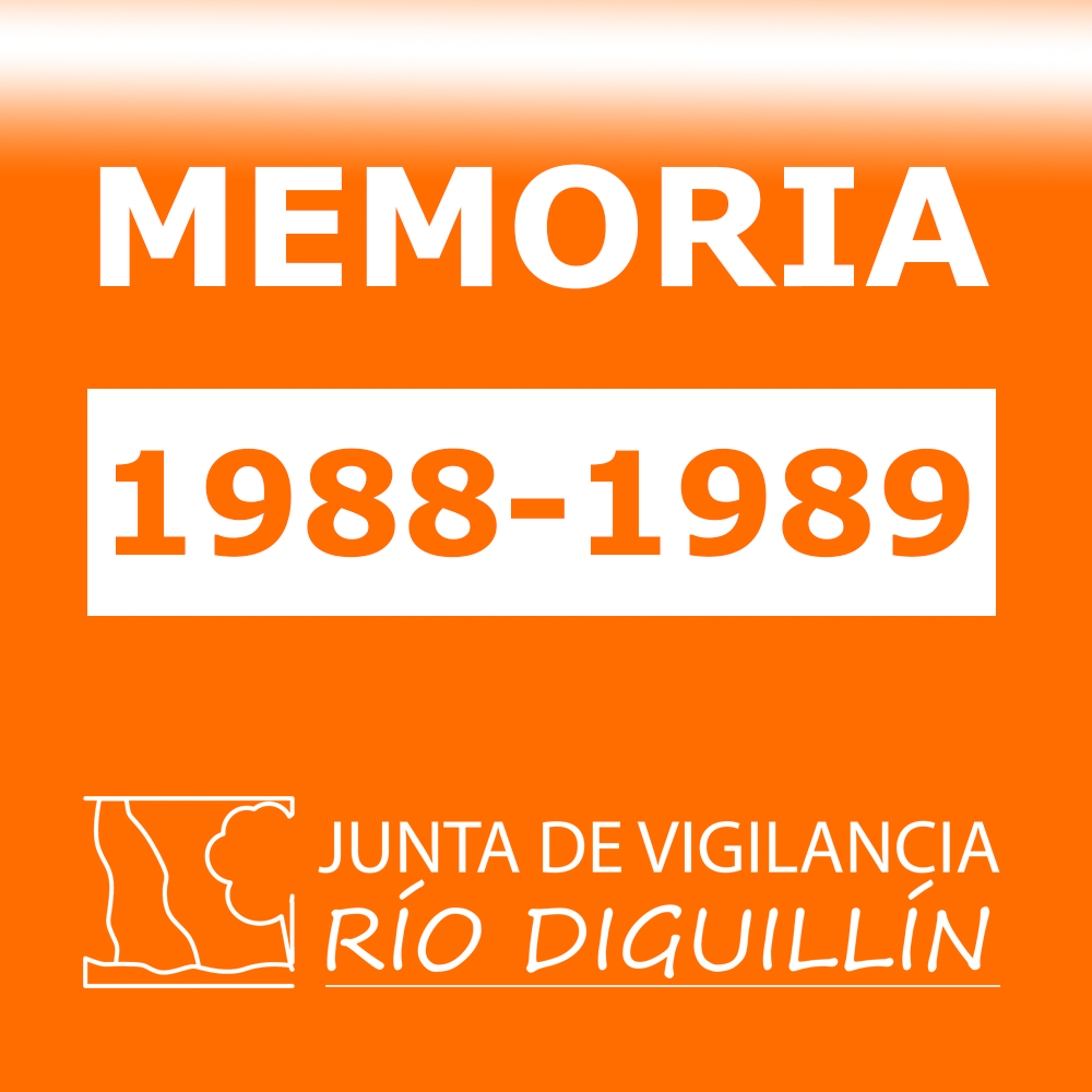 EJERCICIO 1988-1989