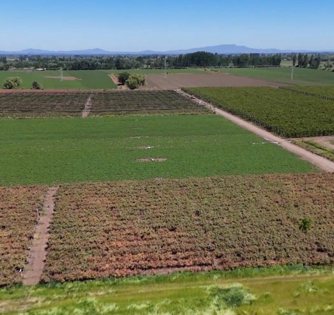 Cuarteles de cultivo vistos desde altura