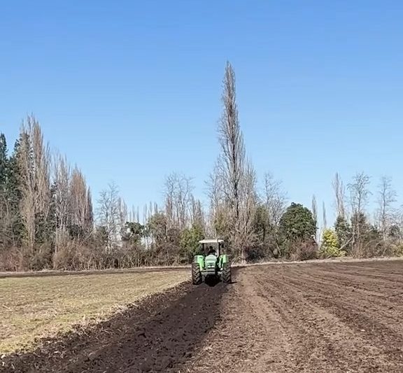 Tractor arando el potrero