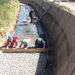 Proyecto de los “blancos” generaría 5.200 empleos
