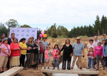 Solución para “blancos”