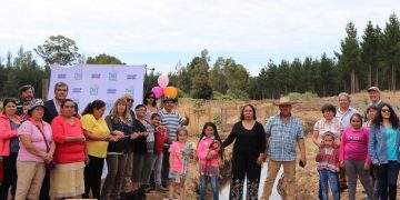 Solución para “blancos”