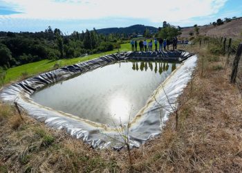 INDAP ANUNCIA HISTÓRICO PRESUPUESTO DE RIEGO PARA LA PEQUEÑA AGRICULTURA EN SU CUENTA PÚBLICA