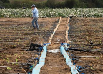 Gobierno decreta emergencia agrícola por escasez hídrica en Coquimbo, Valparaíso, O’Higgins y Maule