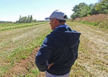 Critican nulo avance del MOP en riego para los “blancos”