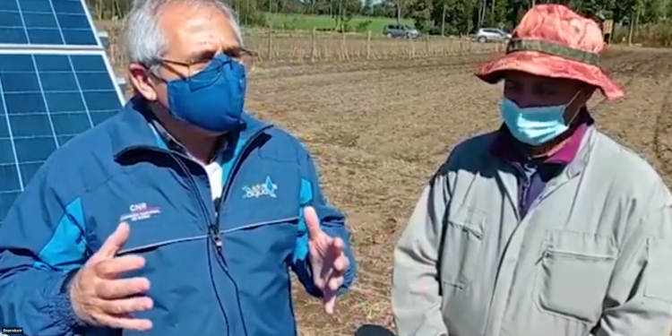 40 proyectos esta temporada cambian panorama en los campos de Ñuble