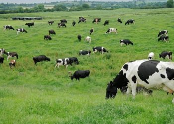 Plan de Adaptación Nacional al Cambio Climático Sector Silvoagropecuario