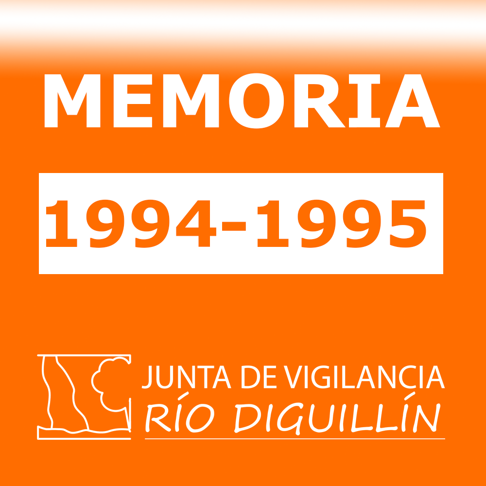 EJERCICIO 1994-1995