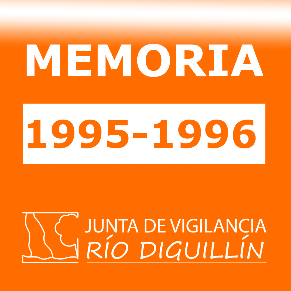 EJERCICIO 1995-1996