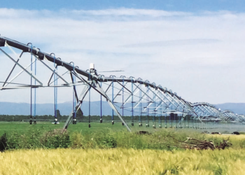 Recursos hídricos y riego en la Región de Ñuble