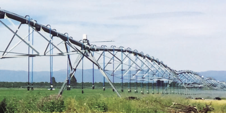 Recursos hídricos y riego en la Región de Ñuble