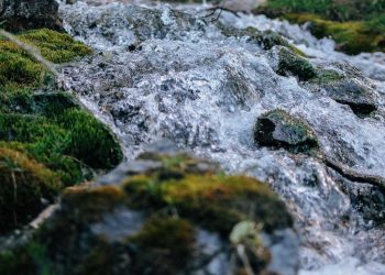 ASAMBLEA GENERAL ORDINARIA DE ACCIONISTAS