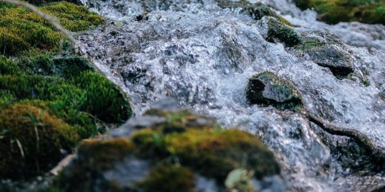 ASAMBLEA GENERAL ORDINARIA DE ACCIONISTAS