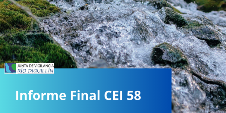 Informe final de CEI 58