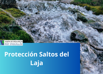 Protección Saltos del Laja
