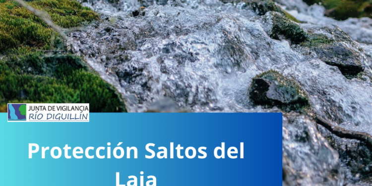 Protección Saltos del Laja