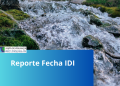 Reporte Fecha IDI