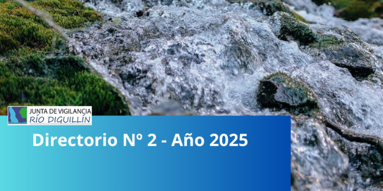 Directorio Nº 2 – Año 2025