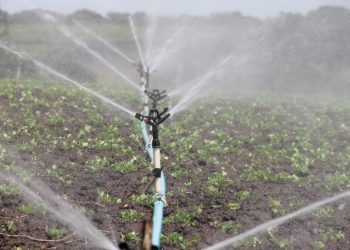 Ñuble da el vamos a la temporada de riego 2025-2026 con entrega de bonos