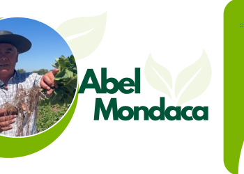 La importancia del manejo del suelo y del riego para lograr una buena producción de papas