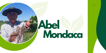 La importancia del manejo del suelo y del riego para lograr una buena producción de papas