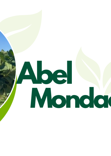 La importancia del manejo del suelo y del riego para lograr una buena producción de papas