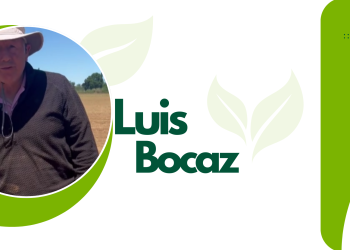 Luis Bocaz, nos explica desde Montaña Garay, el proceso de siembra de porotos, los cuales son de exportación.