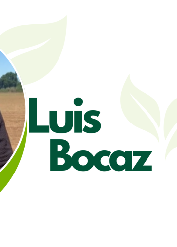 Luis Bocaz, nos explica desde Montaña Garay, el proceso de siembra de porotos, los cuales son de exportación.