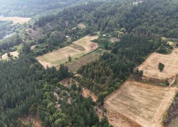 Primera piedra del embalse Zapallar sería a fines de enero de 2026