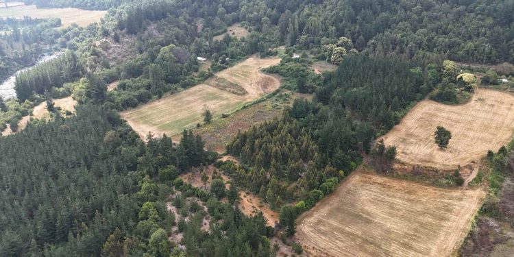 Primera piedra del embalse Zapallar sería a fines de enero de 2026