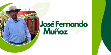 Cosecha de verano en nuestros campos