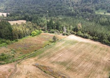 Confirman primera piedra del embalse Zapallar para el próximo lunes