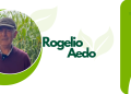 La importancia del riego para los agricultores