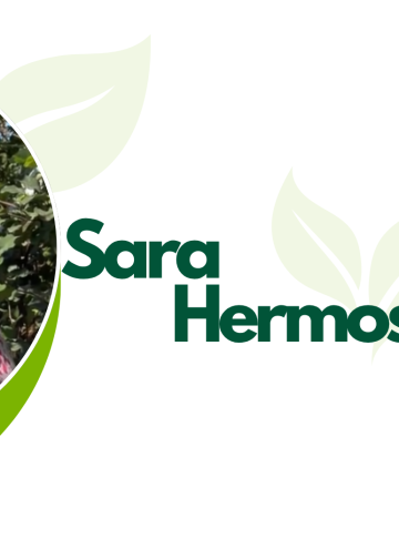 La producción se mantiene gracias al riego