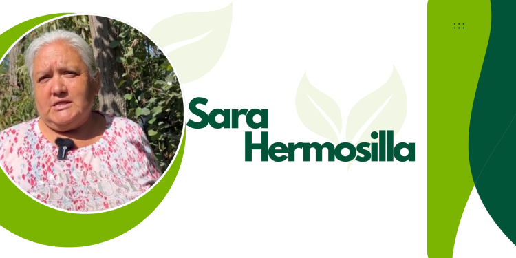 La producción se mantiene gracias al riego