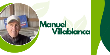 Harneado de avena: la técnica milenaria que aún se usa en el campo de Ñuble